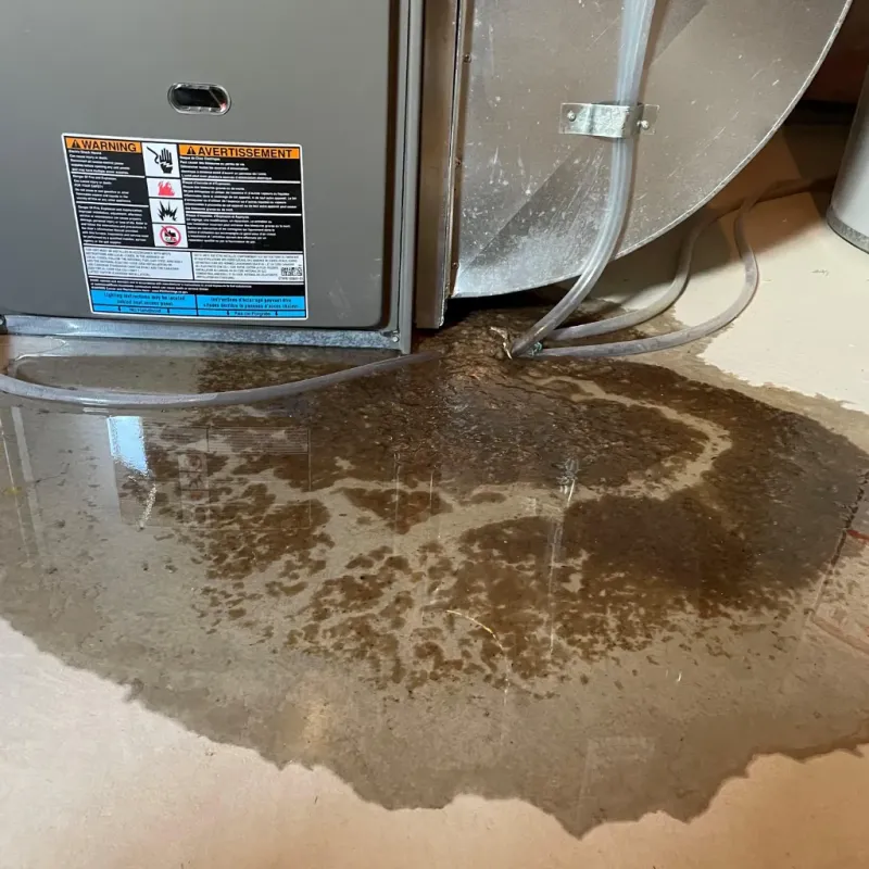 Appliance Leak Cleanup in Rio Bravo, TX