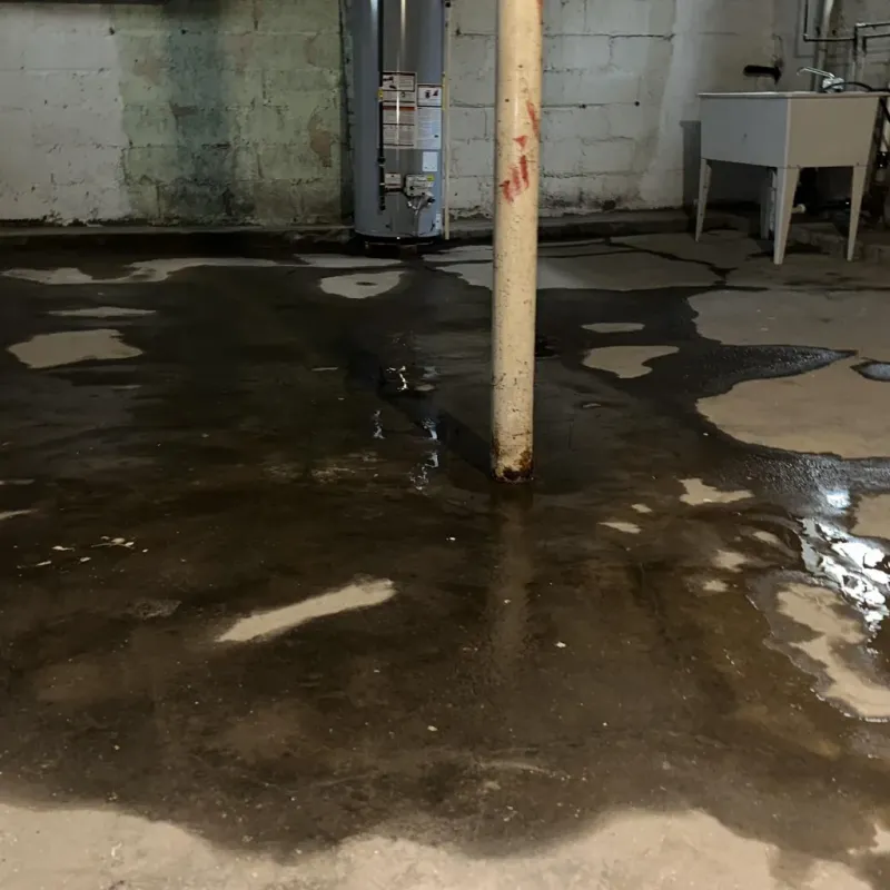 Emergency Water Extraction And Removal in Rio Bravo, TX